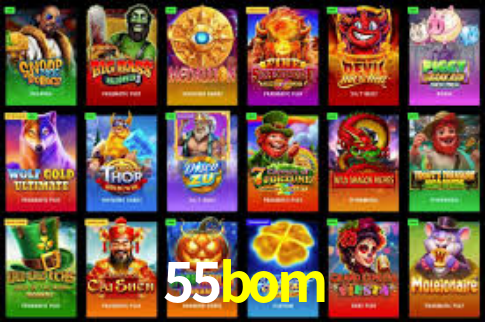 Premium Interface 55bom